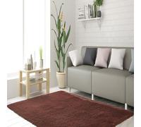 STGAO Fluffy Rug for Bedroom 100 x 120 cm Many Different Sizes Modern Indoor Large Area Rugs Lightweight and Fluffy for Living Room Bedroom Play Area Kids Room, Brown