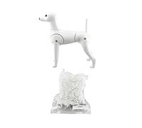 Stgfyxgs Grooming Practice Mannequin Dog Grooming Training Model Mannequin Figurine Aid With Poseable Skeleton And Smooth PE Surface suitable for instructor , Poodle Skeleton With Full Body Hair