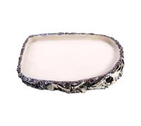 Stgfyxgs Reptile Food Bowl, Decorative Terrarium Feeder, Water Bowl for Frog, Bearded Dragon, Chameleons, Gecko