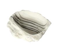 Stgfyxgs Reptile Water Dish Tank Decor Bathing Pool for Chameleon Amphibians