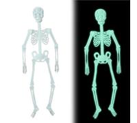 Stibzeup Glow in the Dark Skeleton 59.06 Inch Life Size Hanging Luminous Skeleton Full Body for Haunted House Halloween Decorations
