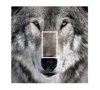 Sticar-it Ltd Beautiful Wolf Wolves Face Eyes Light Switch Sticker vinyl cover skin decal For any Room