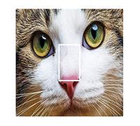 Sticar-it Ltd Cute Cat Kitten Feline Face close up eyes Light Switch Sticker vinyl cover skin decal For Children's Room