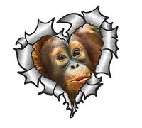 Sticar-it Ltd Heart Shaped RIPPED TORN METAL Car Sticker Cute Baby Orangutan Vinyl decal 105x100mm approx.