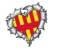 Sticar-it Ltd Heart Shaped RIPPED TORN METAL Car Sticker Northumberland county Flag Vinyl decal 105x100mm approx.