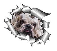 Sticar-it Ltd RIPPED TORN METAL Car Sticker Cute British Bulldog dog pet Vinyl decal (Small 105x130mm approx)