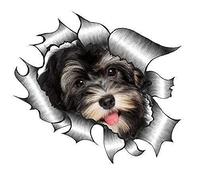 Sticar-it Ltd RIPPED TORN METAL Car Sticker Cute Havenese Puppy Dog design Vinyl decal (Large 205x160mm approx)