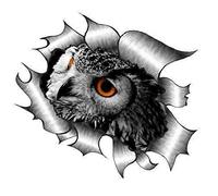 Sticar-it Ltd RIPPED TORN METAL Car Sticker Eagle Owl Bird of Prey design Vinyl decal (Small 105x160mm approx)