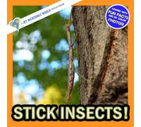 Stick Insects!: A My Incredible World Picture Book for Children (My Incredible World: Nature and Animal Picture Books for Children)