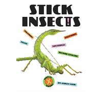 Stick Insects (X-Books: Insects)