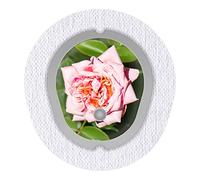 Sticker Cover for the Dexcom G7 Sensor 2X Rose myDili Diabetic-Accessories
