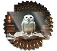 Sticker Cover Scratch Resistant Decals, Winter Matte Print for Phone Case Fall | Vintage Decor Uv Proof Pack Snowy Owl in The Library of Knowledge(12X18CM)