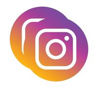 Sticker Gold - Instagram Round Icon Self Adhesive Stickers - 3 Size Options - Social Media Work Van Shop Office Sign Graphics Advertising Decal (8cm (2 Pack))