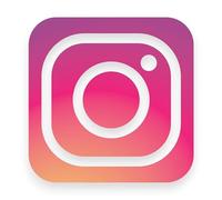 Sticker Gold - Instagram Self Adhesive Stickers - 3 Size Options - Social Media Work Van Shop Office Sign Graphics Advertising Decal (12cm (1 Pack))