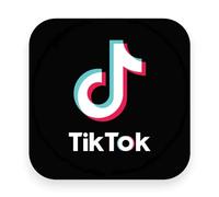 Sticker Gold - TikTok Self Adhesive Stickers - 3 Size Options - Social Media Work Van Shop Office Sign Graphics Advertising Decal (12cm (1 Pack))