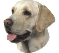 Sticker Nobby Pet Labrador