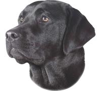 Sticker Nobby Pet Labrador