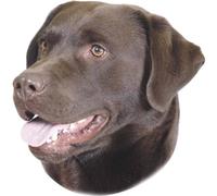 Sticker Nobby Pet Labrador