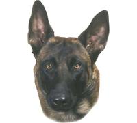 Sticker Nobby Pet Malinois
