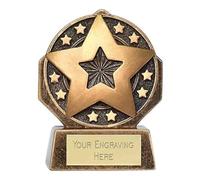 Sticker Stocker Mini Peak Shield Star Award Trophy 8cm Resin FREE engraving and Certificate