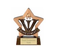 Sticker Stocker Mini Star Achievement Award Trophy 8cm Resin FREE engraving and Certificate