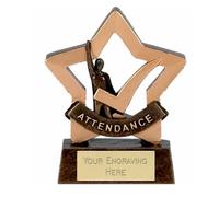 Sticker Stocker Mini Star Attendance Award Trophy 8cm Resin FREE engraving and Certificate