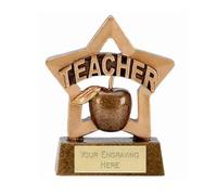 Sticker Stocker Mini Star Teacher Award Trophy 8cm Resin FREE engraving and Certificate