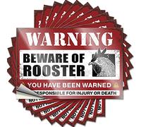 Stickers for Car Beware of Rooster Funny Sticker 10 Pcs Car Window Stickers Car Decals(6X9CM)