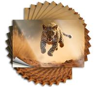 Stickers for Cars A Leopard is Running in The Wild Sticker 10Pcs Car Window Stickers Sticker for Cars(12X18CM)