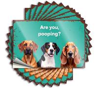 Stickers for Your Car Three Dogs Curiously Ask: are You Pooping? Stickers 10Pcs Car Stickers Funny Bumper Stickers(8X12CM)