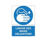 Stickers or Sign Mandatory PPE 15 x 20 cm - Safety Signage - Compliant Personal Protective Equipment Display - (Pvc 3 mm, Hand Cleaning)