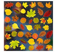 Stickers4 - Autumn Decorations - 42 Static Cling Leaves Double Sided Window Stickers - Photo Realistic Decor