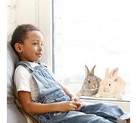 Stickerscape Fluffy Bunnies Window Sticker | Easy to Apply | Repositionable and Reusable | Viewable From Both Sides Of A Window | Spring and Easter Themed Window Stickers
