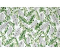 STICKY BACK PLASTIC SELF ADHESIVE VINYL DCFIX LIVA LEAF PRINT FILM WRAP 2mX67cm