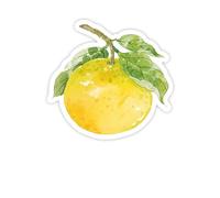 Sticky Notes 30 Pcs Cute Sticky Notes Fruits Kawaii Fun Notepads Note Pads Self Stick Memo Pad Office Supplies(Color-1)