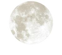 Sticky Notes, Star Round Sticky Notes Multicolor 10.7x9cm(Color-2)