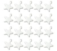Stiesy 20Pcs Star Stainless Steel Pendants Mini Five Point Star Charms Silver Tone Pendants for Jewellery Making Necklace Earrings Bracelet DIY Crafts
