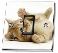 stika.co Pack of 2 Cat Kitten Light Switch Stickers, Self-Adhesive Vinyl Light Switch Cover, Kids Bedroom Pet Lover Decor, Single Switch with Cut-Out, Peel and Stick