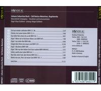 STILE ANTICO MOTETTEN/ORG NEW CD