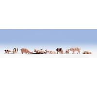 Noch 36712 Pigs Landscape Modelling