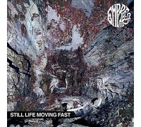 Still Life Moving Fast [Lp] by Empress Ad (Record, 2014)
