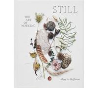 STILL: The Art of Noticing