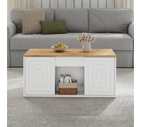 STILVORA Height Adjustable Coffee Table with 2 Doors in White STILVORA White