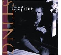 Sting - Let Your Soul Be Your Pilot