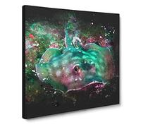 Sting Ray Paint Splash Modern Canvas Wall Art Print Ready to Hang, Framed Picture for Living Room Bedroom Home Office Décor, 20x20 Inch (50x50 cm)