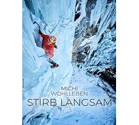 Stirb Langsam