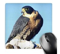 Stitched Edges Office Mousepad Peregrine Falcon Bird Native To Us David 25X30Cm, Mouse Pad Personalized Desk Pad For Work Home Laptop