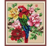 Stitchhaven 14CT Cute Animal Counted Cross Stitch Kit for Beginners, Unprinted Complete DIY Embroidery Set with Pattern & Tools, Premium Aida Cloth & Threads (Jinxiu Parrot)