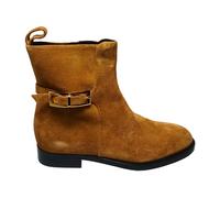 stivali e stivaletti Camoscio - female - Sergio Rossi - Ankle Boots - Brown - 4 UK - Shoes 4 UK