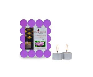 STL 6-Hour Tealight Fragrance Candles - Pack of 20, Individual Scents for Extended Aromatherapy Bliss (7 Fragrance Options) (Lilac)
